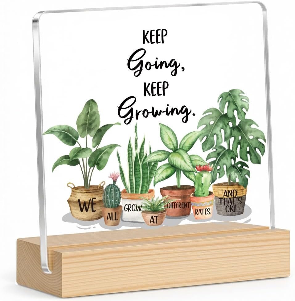 Inspirational Gifts for Women & Girl, Motivational Decoration for School Counseling Office Cubicle Therapy, Therapist Office Decor, Positive Acrylic Desk Decor for Friend Coworker