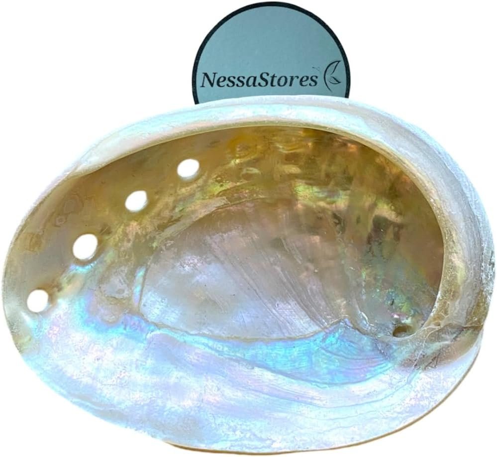 NessaStores 12 Abalone Shells 2.5 to 3.5 Inches | Beautiful All Natural Smudge Bowl – Perfect for Smudge Sticks, Incense Sticks and a Sage Smudge Kit. JC-020