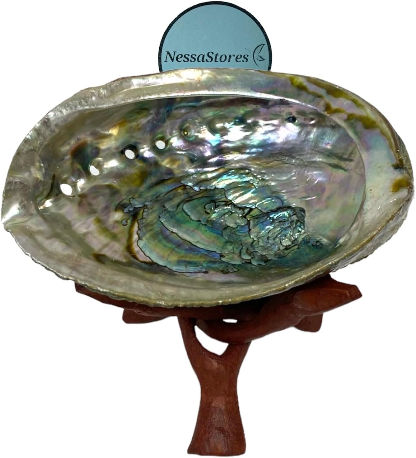 NessaStores Abalone Shell 4-5 Inches & Tripod Stand 4 Inches | Beautiful All Natural Smudge Bowl – Perfect for Smudge Sticks, Incense Sticks and a Sage Smudge Kit. JC-211-B