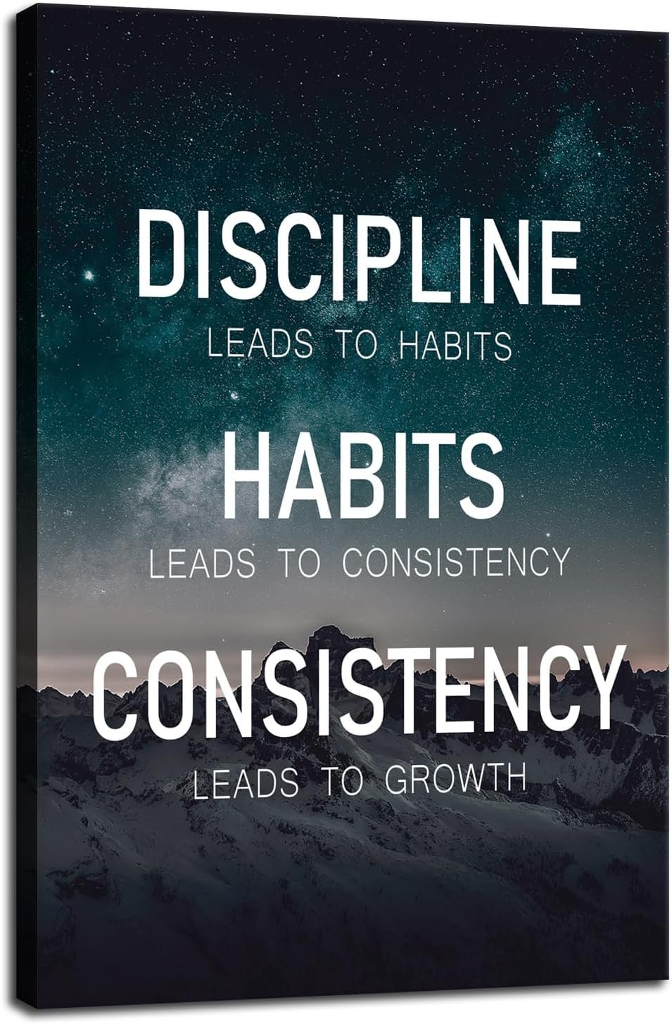 Discipline Habits Consistency Growth Motivational Wall Art Inspirational Poster Canvas Prints Artwork for Office Modern Home Decor Painting Pictures Stretched and Framed Ready to Hang [12”Wx 18”H]