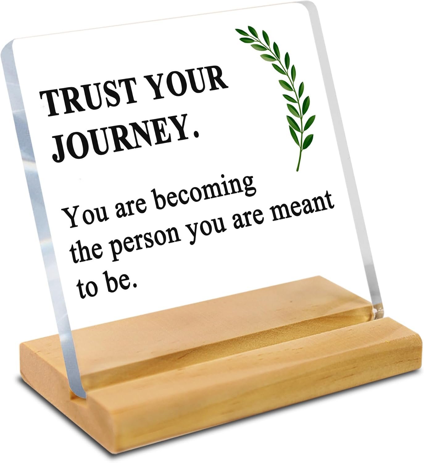 Inspirational Motivational Desk Gift, Positive Office Decor for Women, Clear Acrylic Decor Sign with Wooden Stand, Thank You Gifts for Coworkers Employees Friends Home & Office Tabletop Decorations (4×4 Inches)