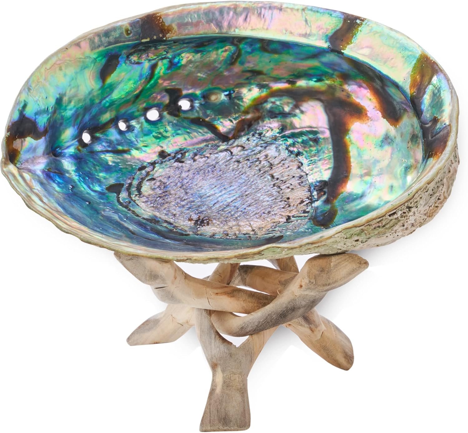 6 Inch Abalone Shell & Stand, Smudge Kit | Smudge Bowl & Wood Tripod Stand, Sage Smudging Kit Shell, Hand Made, Sustainably Grown