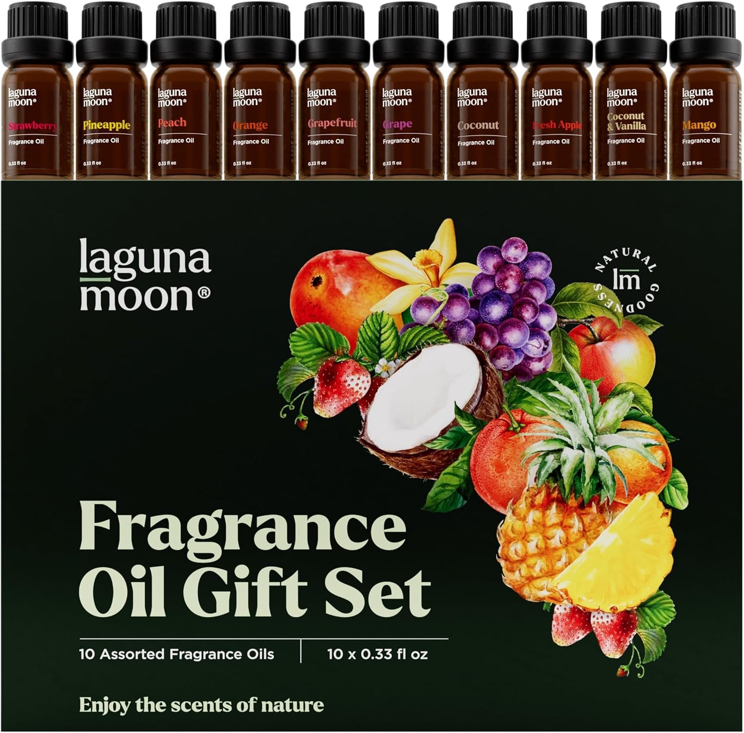 Fragrance Oil Set – Premium Grade 10 Pcs Scented Oils for Candle Making, Soap Scents, Aroma Beads, Bath Bombs, Perfume & Flavoring Oil for Lip Gloss – Essential Oils with Fruity Scents (10ml)