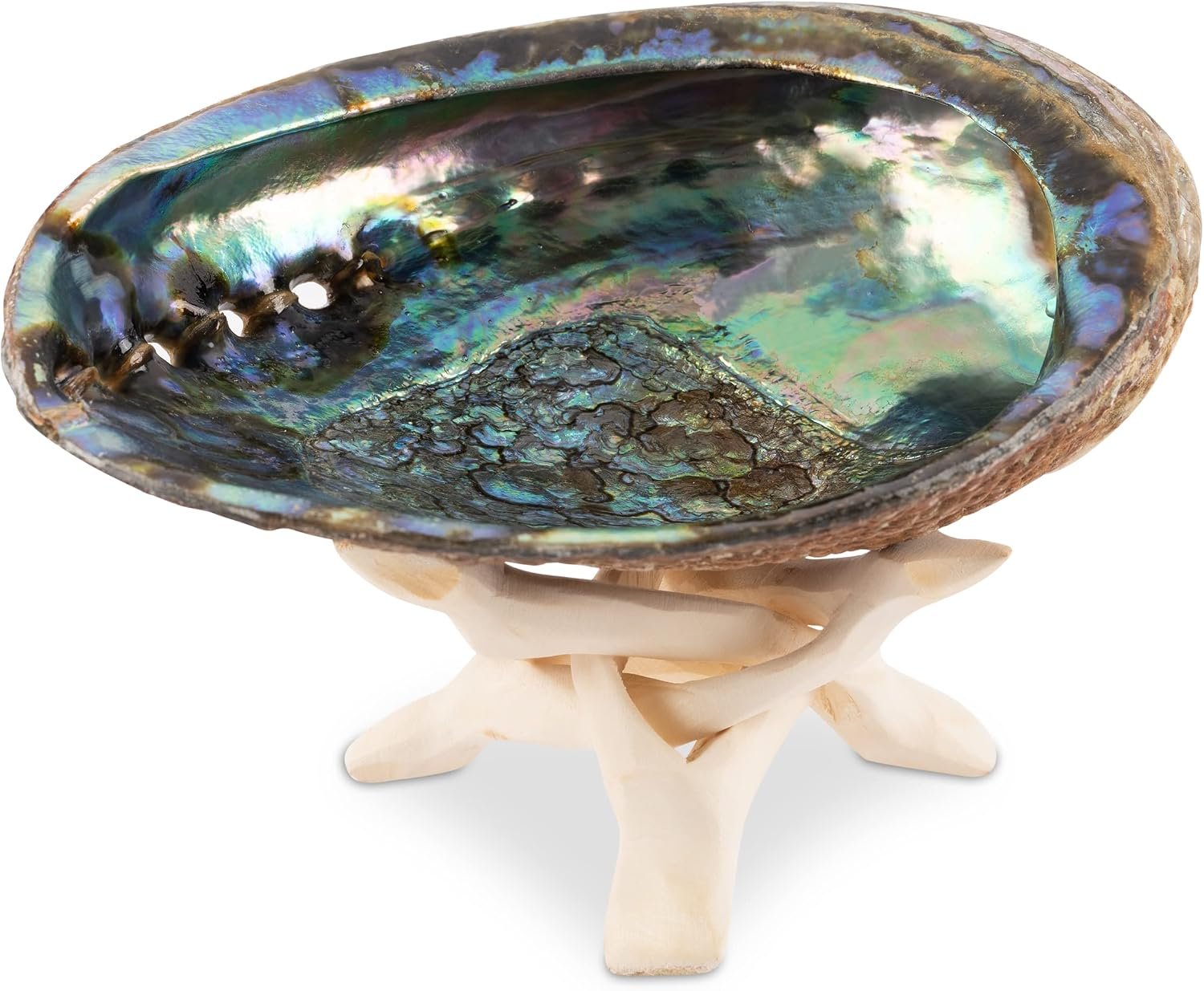 Wish Well Natural Abalone Shell 5-6 Inch Large with Wooden Stand – Incense Holder and Sage Smudge Bowl for Cleansing, Smudging, and Meditation – Palo Santo Holder & Beautiful Home Decor