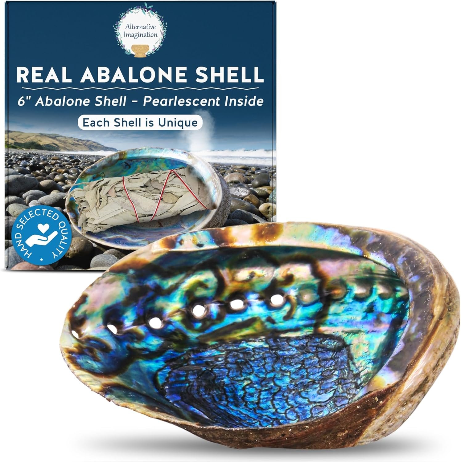 Alternative Imagination Hand Selected Abalone Shell – 6 Inches or Larger – Polished Mother-of-Pearl Interior – Flame-Proof Dish for Incense, Smudge Sticks, Trinkets, Crystal Display & Home Decor
