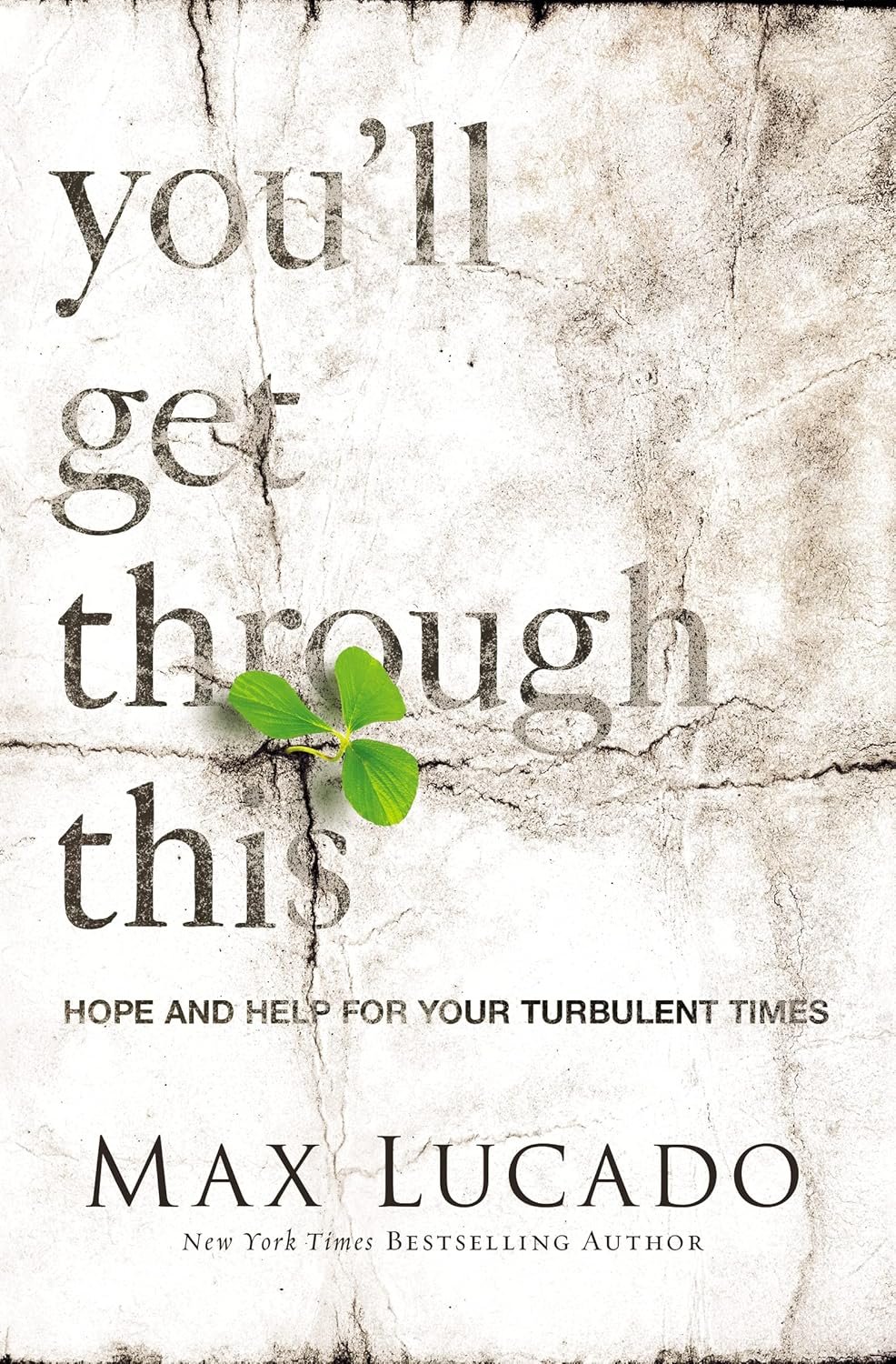 You’ll Get Through This: Hope and Help for Your Turbulent Times